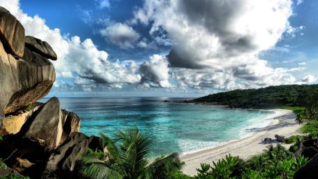Tropical Beach Paradise Serenity wallpaper