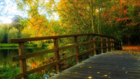 Golden Autumn Bridge in Tranquil Park Scene wallpaper