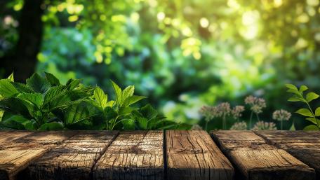 Wooden Planks and Lush Greenery wallpaper