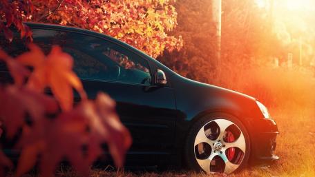 Autumn Drive with Volkswagen Beauty wallpaper