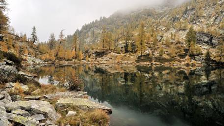 Autumn Lake Reflection in Misty Mountains wallpaper