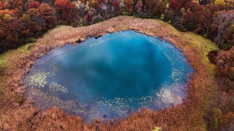 Autumn Forest Lake from Above wallpaper