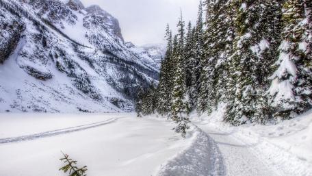 Winter Wonderland in a Snowy Forest Valley wallpaper