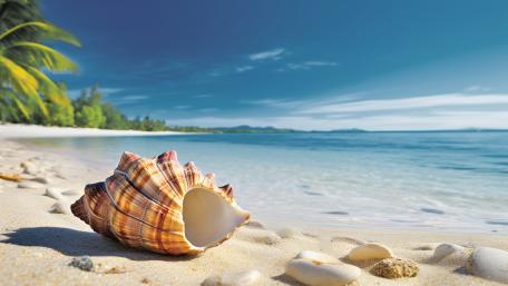 Tropical Beach Serenity in 5K wallpaper