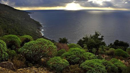 Serene Coastal Horizon View wallpaper