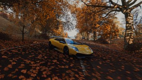 Golden Drive Through Autumn Leaves wallpaper