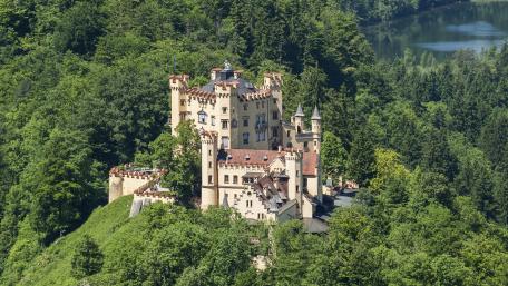 Hohenschwangau Castle in Lush Greenery wallpaper