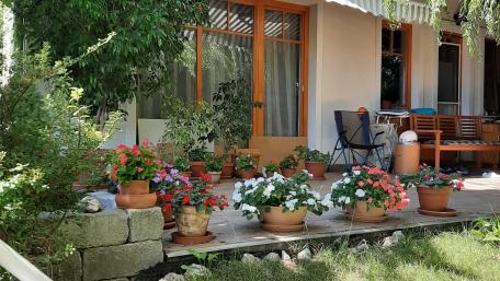 Vibrant Garden Serenity with Colorful Blooms wallpaper