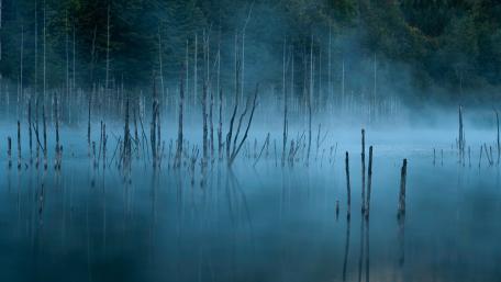 Misty Reflections at Red Lake wallpaper