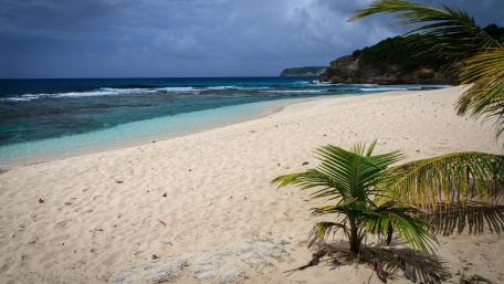 Tropical Paradise wallpaper