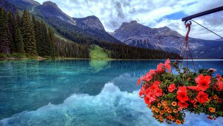 Emerald Tranquility in Yoho National Park wallpaper