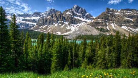 Majestic Rocky Mountain Splendor at Bow Lake wallpaper