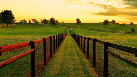 Serene Pastoral Landscape at Sunset wallpaper