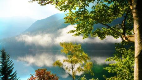 Serene Lake Reflection at Dawn wallpaper