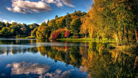 Autumn Serenity by the Lakeside wallpaper