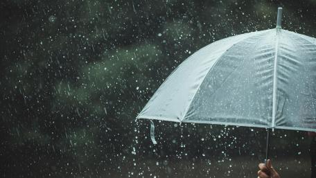 Embracing the Rain's Melody wallpaper