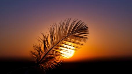 Nature wallpaper wallpaper