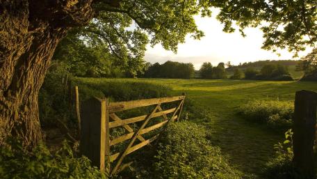 Tranquil Countryside Escape at Sunset wallpaper