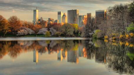 Central Park in Bloom with Cityscape Reflections wallpaper