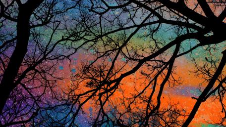Celestial Canopy wallpaper