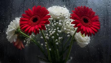 A Rain-Kissed Bouquet wallpaper