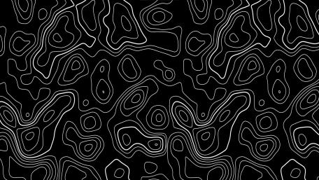 Abstract Topographic Monochrome Pattern Design wallpaper