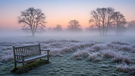 Whispers of Dawn: The Solitude of Ashdown wallpaper