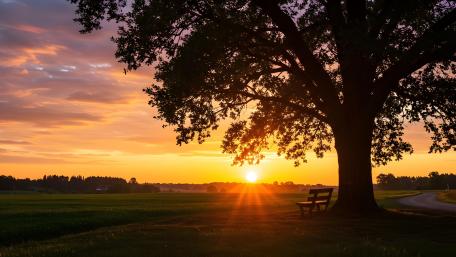 Golden Reflections: A Seat at the Sunset wallpaper