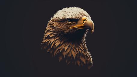 Golden Majesty Eagle Illustration in Minimalist Style wallpaper
