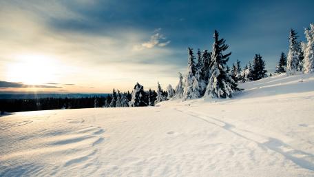 Winter Serenity in Sunlit Snowy Landscape wallpaper