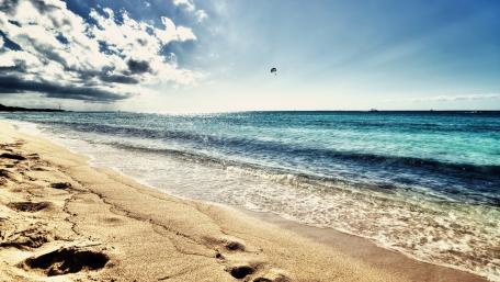 Serene Waves on a Sunlit Shore wallpaper