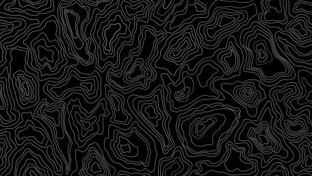 Abstract Monochrome Topographic Line Art wallpaper