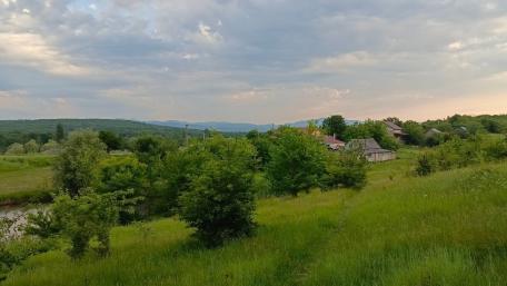 Countryside Serenity in Krasnodar’s Lush Landscape wallpaper