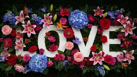 Floral Symphony: The Language of Love wallpaper