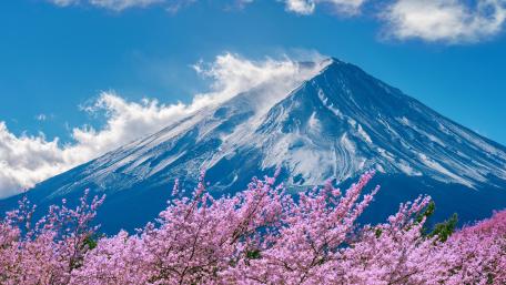 Mount Fuji in Spring Blossom Splendor wallpaper