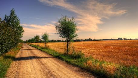 Summer's Peaceful Country Road wallpaper