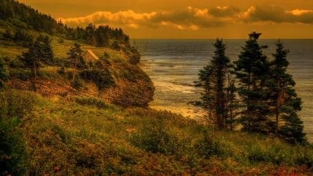 Golden Sunset Over Serene Seaside wallpaper