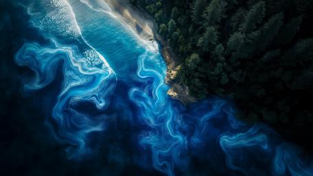 Waves and Forests from Above: AI Nature Art wallpaper