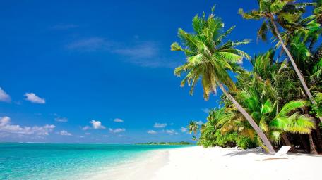 Tropical Paradise Escape in the Caribbean wallpaper