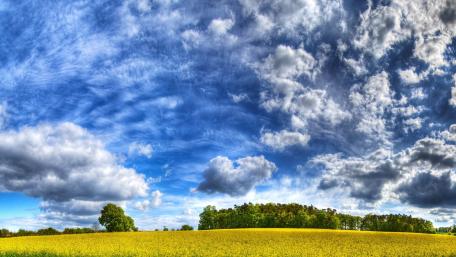 Golden Fields Under Majestic Skies wallpaper