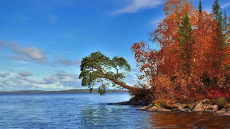 Serene Autumn Lake Reflection wallpaper