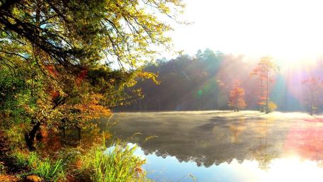 Autumn Tranquility by the Riverbank wallpaper