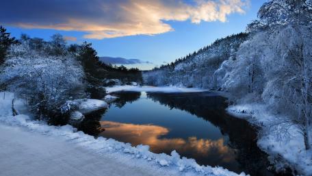 Winter Serenity by the Lake wallpaper