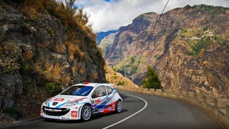 Peugeot 207 WRC Conquers Mountain Roads wallpaper