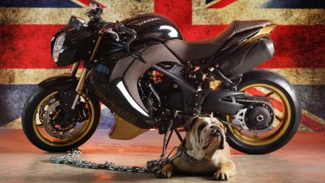Iconic Ride and Loyal Companion United by British Style wallpaper