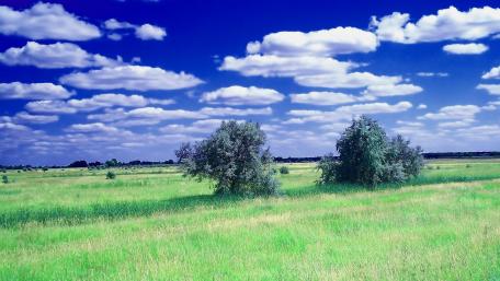 Endless Green Fields Under a Blue Sky wallpaper