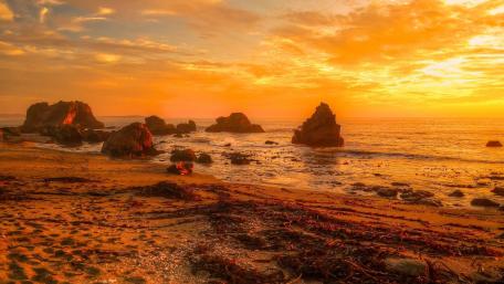 Golden Sunset Over Rocky Shoreline wallpaper