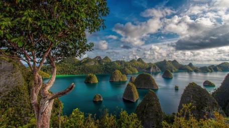 Islets of Raja Ampat Splendor in South Papua wallpaper