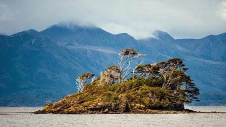 Isolated Serenity on a Chilean Lake wallpaper