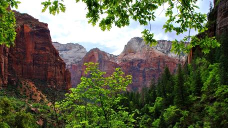 Serene Wilderness Escape in Majestic Valley wallpaper